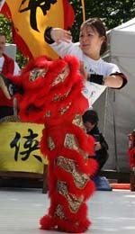 Chinees Cultural Festival Kung Fu demo